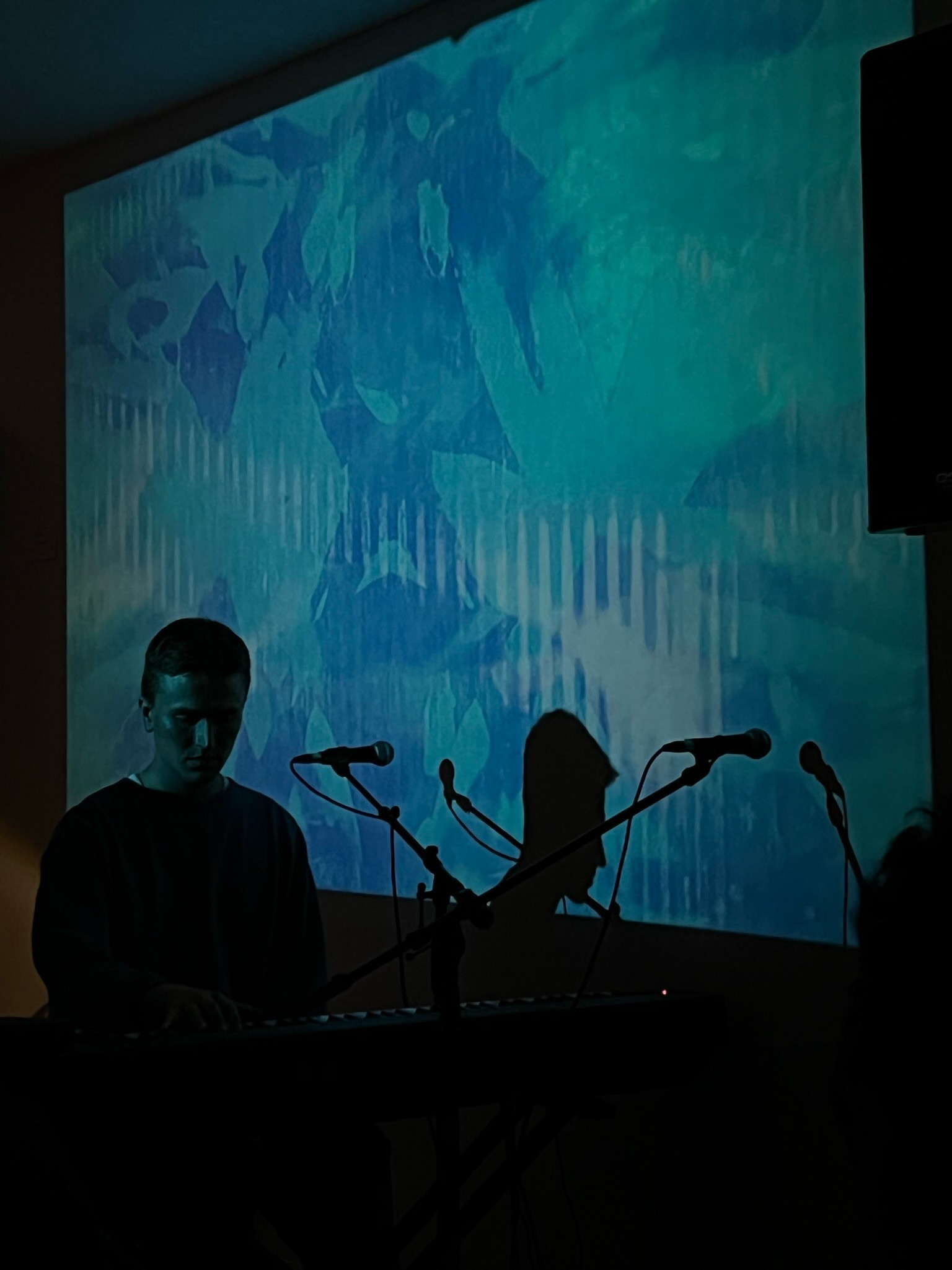 Live performance silhouette
